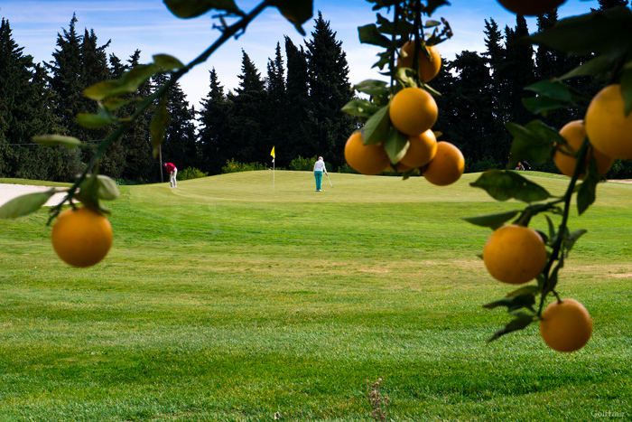 Golfmir.ru_Quinta_da_Ria_Portugal.jpg